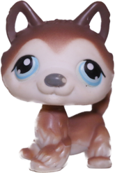 #0068 Husky